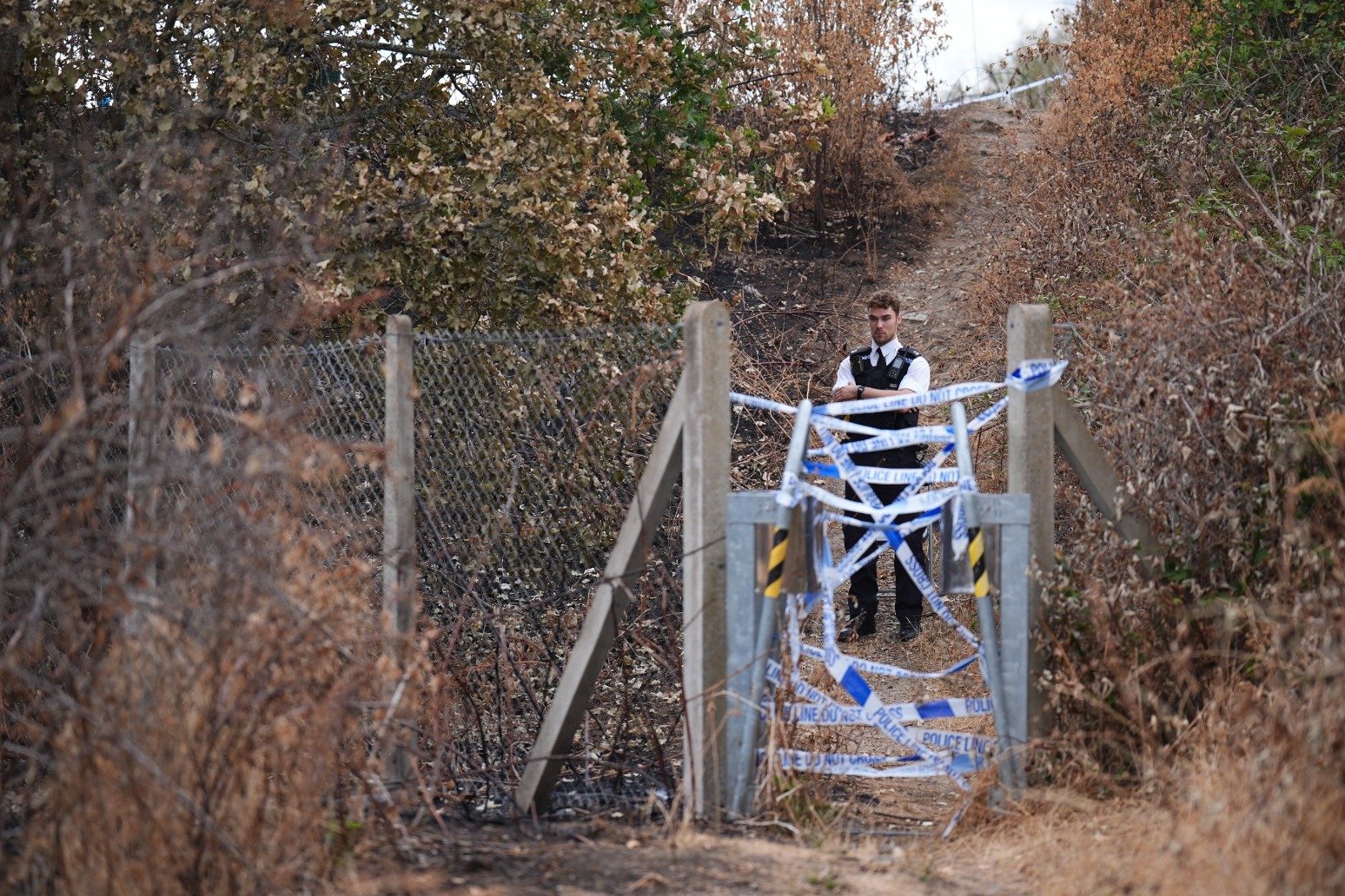 Murder inquiry launched after wildfire reveals human remains in woodland 
